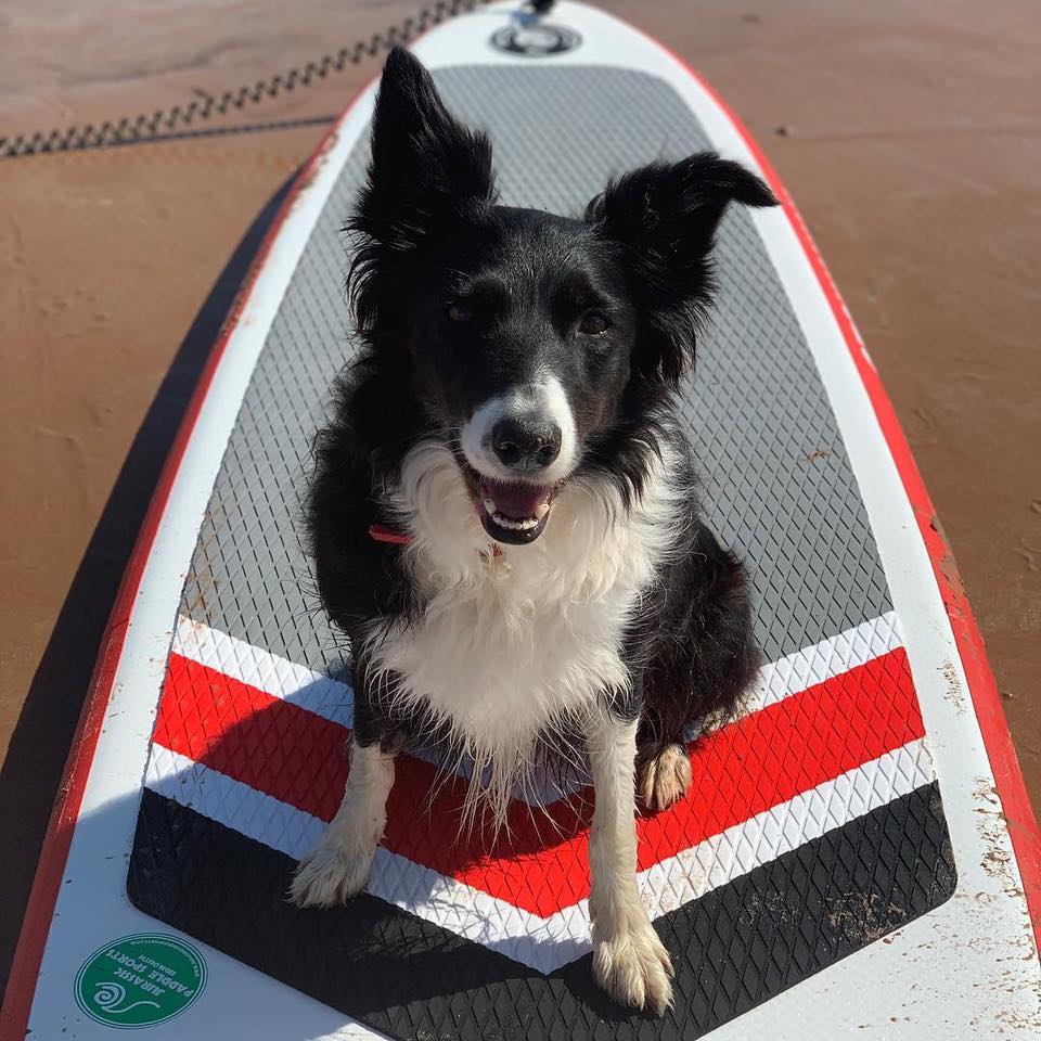 Jurassic Paddle Sports